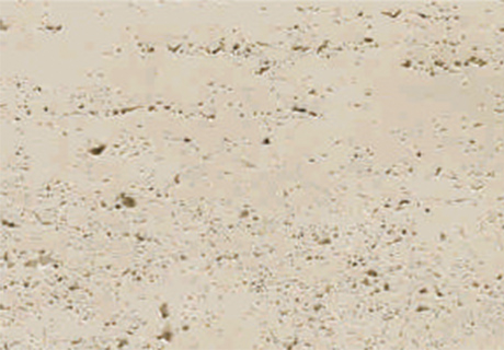 恒峰g22(国际)官网入口-天天有惊喜